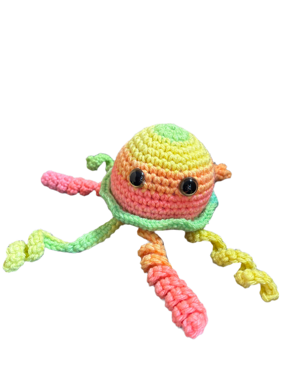 Jellyfish