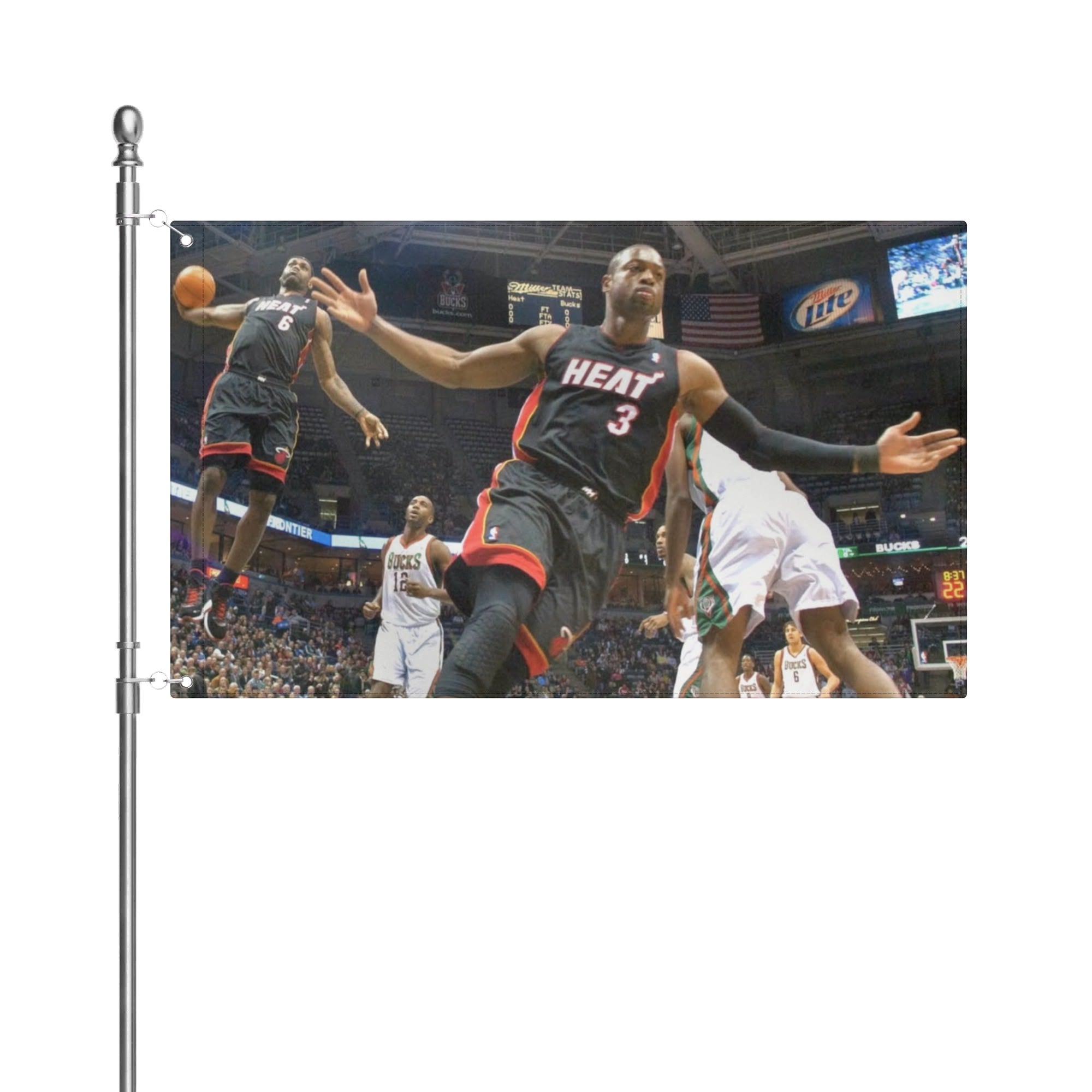 2010 Lebron and DWade Flag