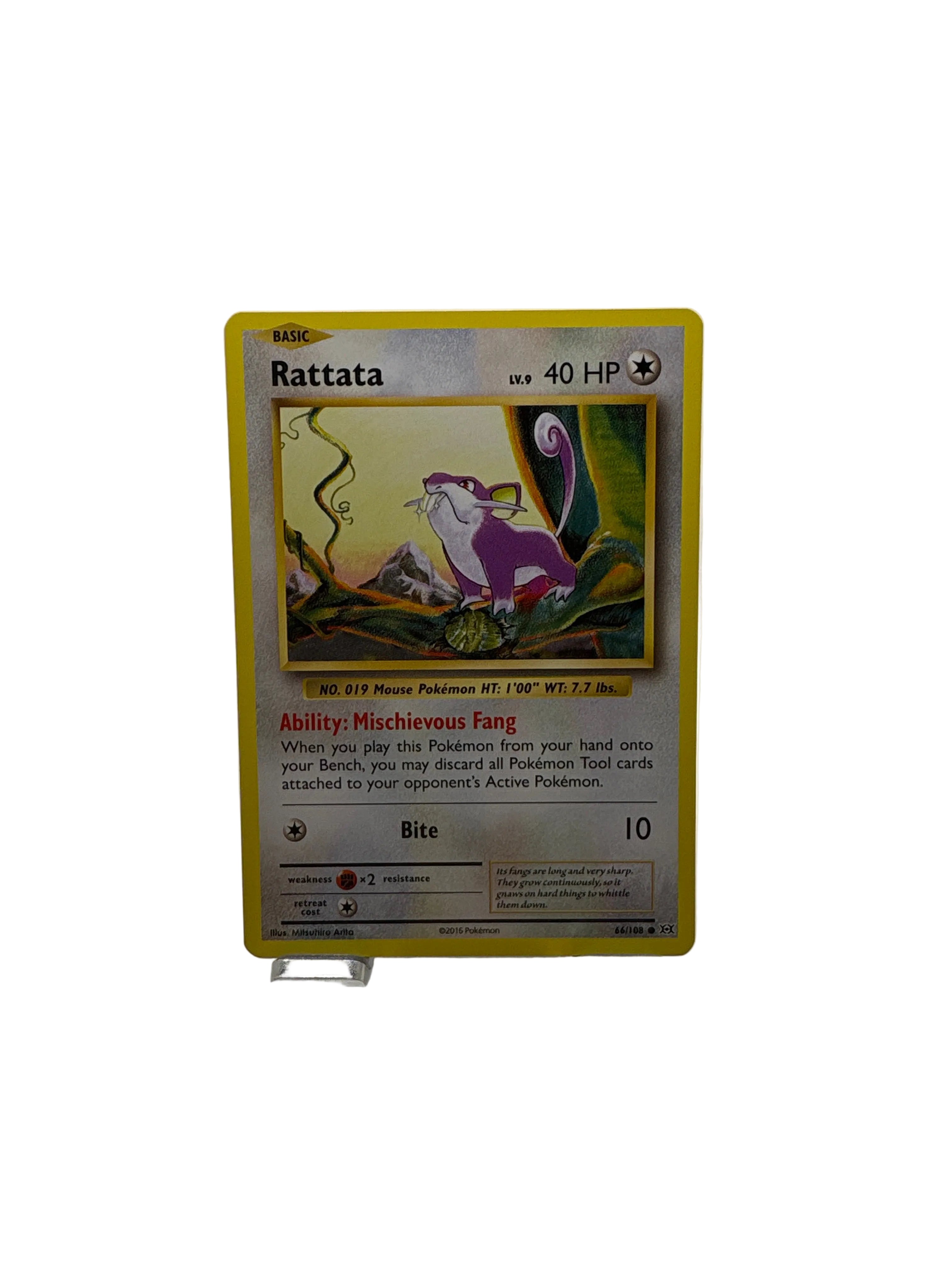 Pokemon Rattata