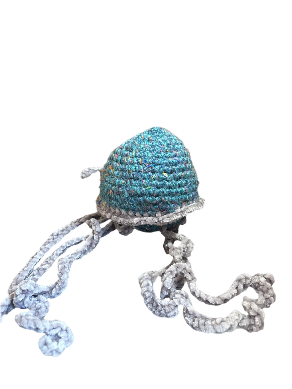 Jellyfish