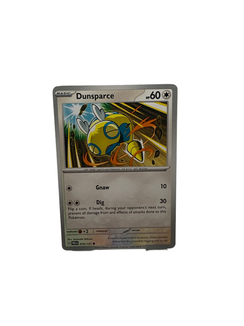 Pokemon Dunsparce