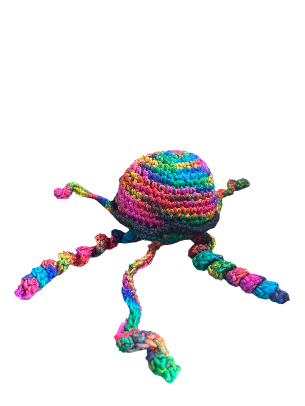 Jellyfish