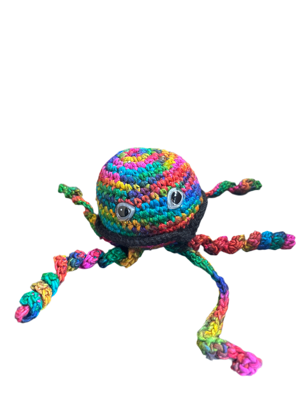 Jellyfish